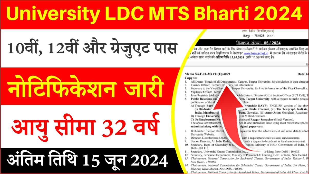 University LDC MTS Bharti 2024